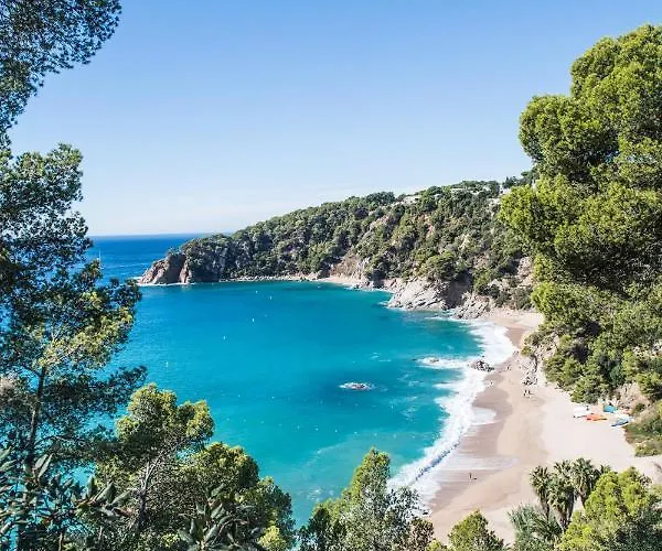 Camping Cala Llevado